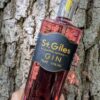 Dark Fruits Gin - Image 2